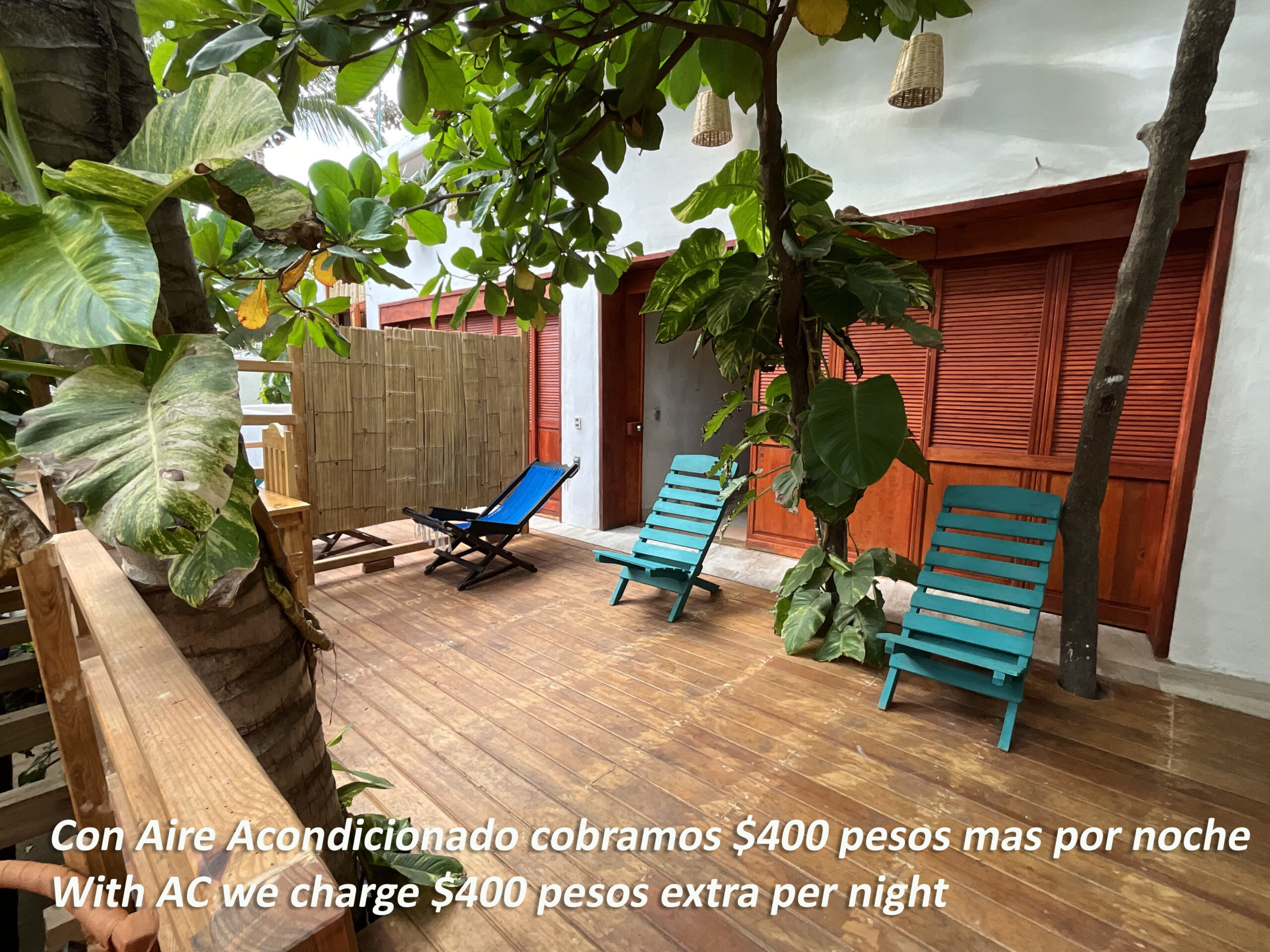 A IGUANA FOTO PRINCIPAL